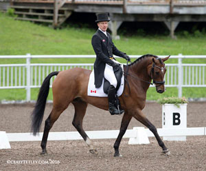 Peter Barry (CAN) and Long Island T, leaders after the CCI2* dressage. Photo by Cealy Tetley