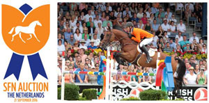 Thumbnail for World Class Dutch Horses up for Auction