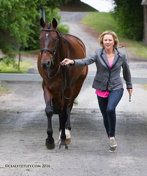 Jessica Phoenix and Pavarotti jogging in the CIC3* inspection. Photo by Cealy Tetley