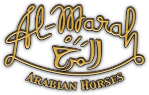 Al-Marsh---Logo