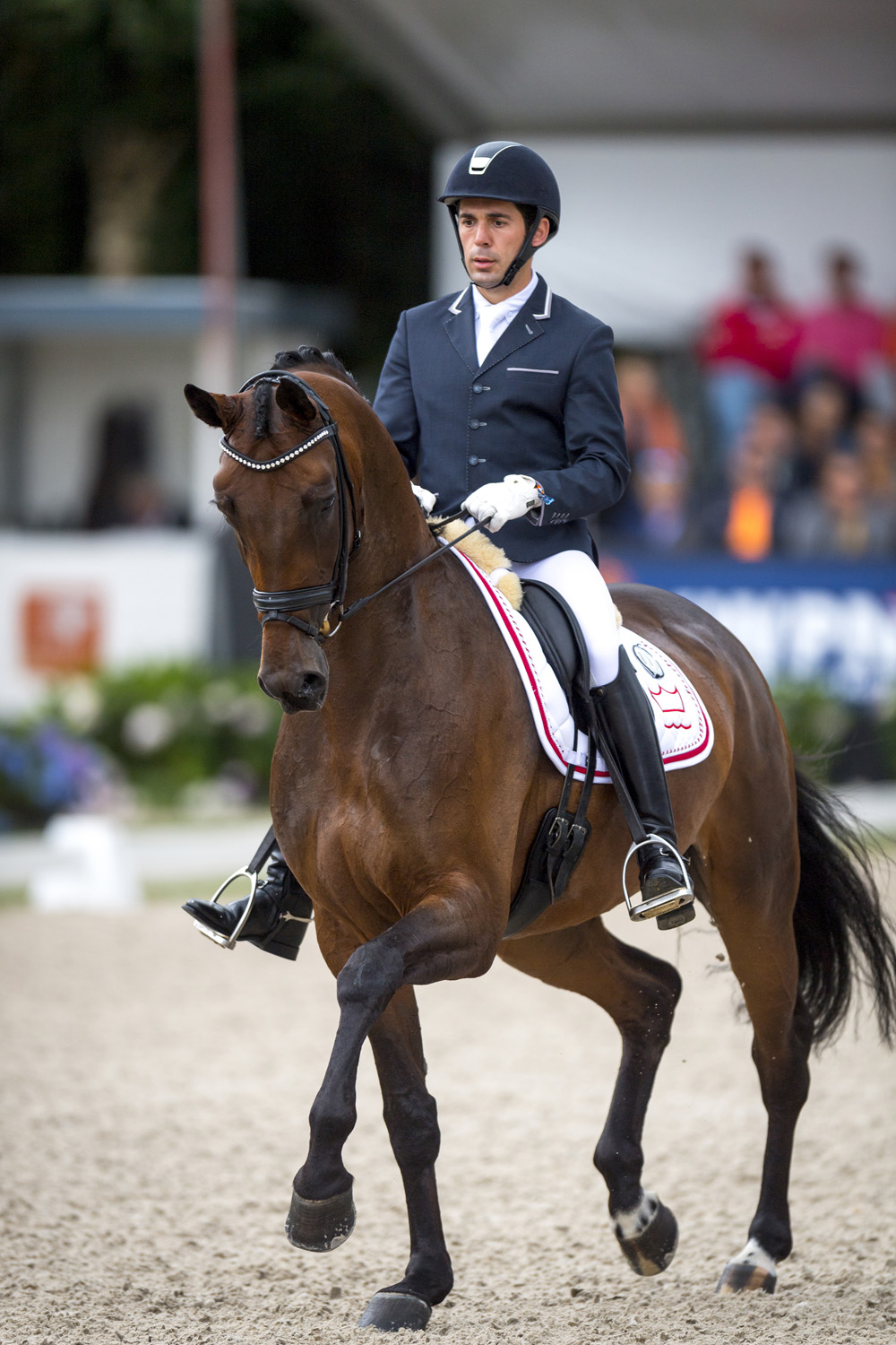 The fabulous mare, Fiontini, who was 5-year-old champion in 2015, returned to claim the 6-year-old title at the Longines FEI/WBFSH World Breeding Championships for Young Horses 2016 at Ermelo (NED). Photo by FEI/Arnd Bronkhorst