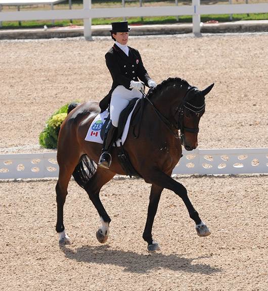 Thumbnail for Trussell and Anton Score 72.214% in Grand Prix at Deodoro
