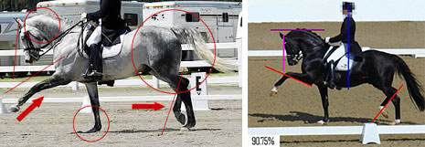These are just two of hundreds of photos of incorrect riding that can easily be found on the internet posted by people in horror (most of them pleading with Judges to ‘stop the madness’ of giving high scores to ‘showy’ yet incorrect movements. These movements will cause long-term damage to a horse if continually trained in this manner. Just look at the score of the photo on the right of 90.75% with added illustration showing a horse ‘broken’ at the poll, ‘behind the vertical’ and with the overly exaggerated front leg movement with the horse’s hind end showing a true lack of engagement.