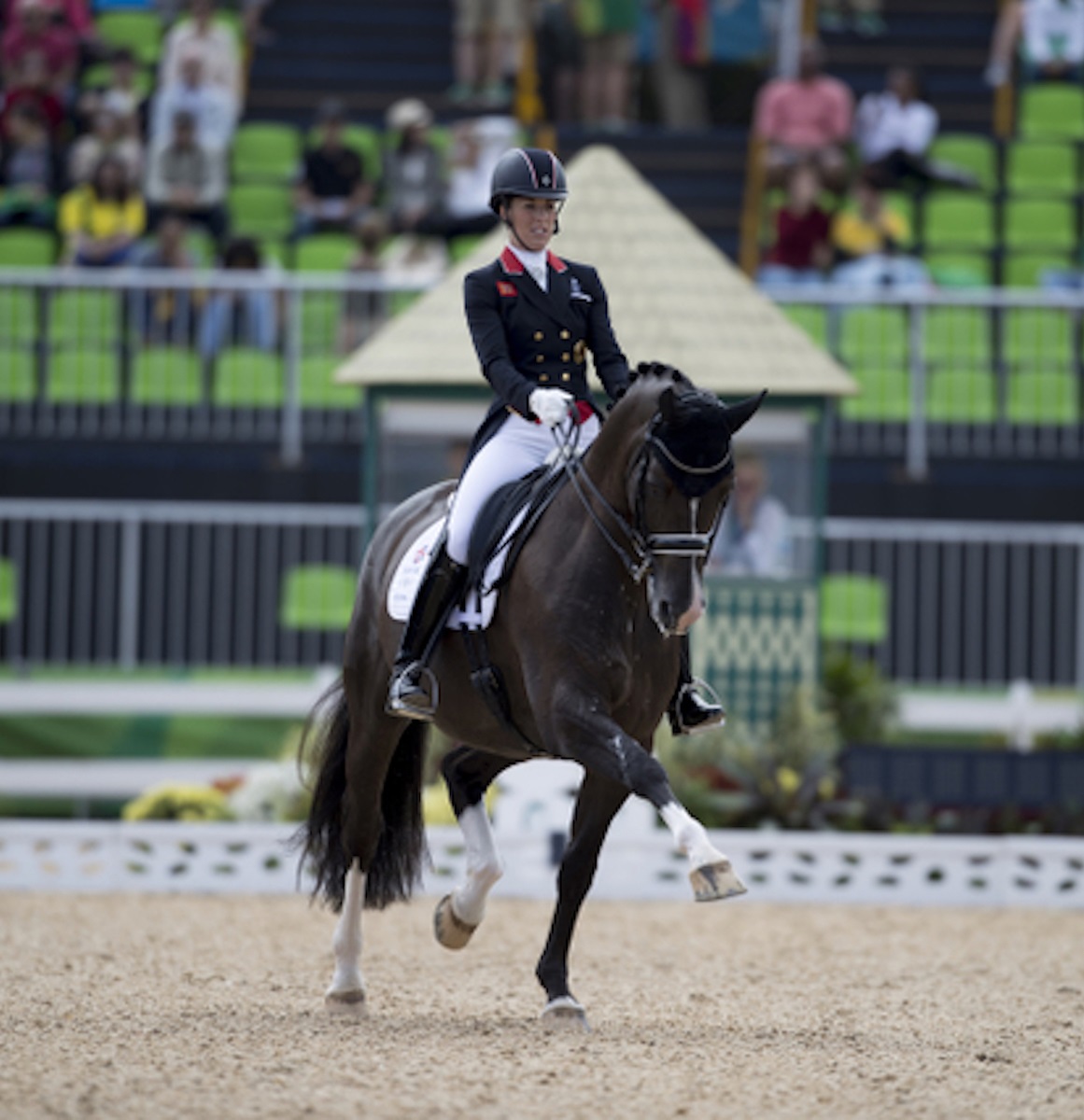 Thumbnail for Queen Charlotte steals the show in Rio; Germany leads the Team Dressage