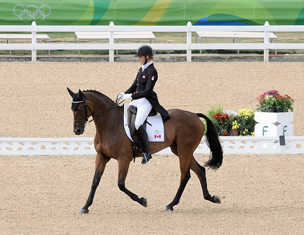 Thumbnail for Howard and Riddle Master Wrap Up Eventing Dressage for Canadian Team