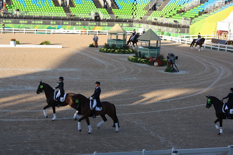 The "Victory Gallop" in dressage is much more like an elegant parade around the arena.