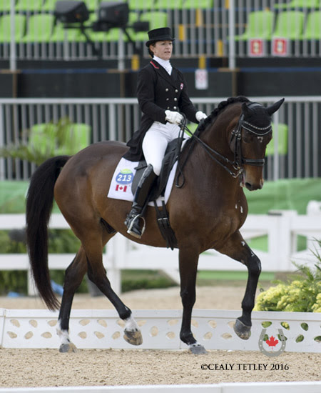 Thumbnail for Belinda Trussell Closes Out Dressage for Canada in Grand Prix Special