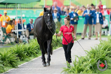 Di Scansano, to be ridden by Ashley Gowanlock at the Rio 2016 Paralympic Games, is presented at the horse inspection by groom, Tori Elly-Murray. © Jon Stroud
