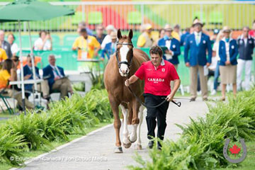 Canadian Para-Dressage Team Assistant Coach and Horse Trainer, Clive Milkins, jogs Roberta Sheffield’s horse, Double Agent, during the horse inspection at the Rio 2016 Paralympic Games.© Jon Stroud