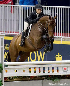 Mackenzie Wray, 17, from Loretto, ON won the 2016 Jump Canada Medal Final, held Nov. 8, 2016 at the Royal Horse Show in Toronto, ON. Photo by Cealy Tetley