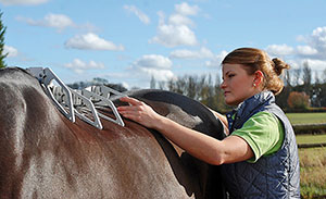 Measuring the three dimensional shape of the horse's back with the Arc Device™.