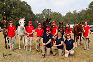 A team of five up-and-coming Canadian endurance athletes, and a full support crew, travelled to South Carolina to contest the 2016 Young Riders Endurance Team Challenge on Nov. 12, 2016. L to R: (Back Row) Lori Nelson, Katrin Levermann, Michelle Knapper, Emma Knapper, Lexi Vollman, Savanah Wilson. (Front Row) Dr. Art King, Sandra Coombe, Sylvia Gillies. Photo by Becky Pearman