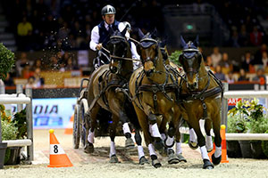 Boyd Exell was again the best driver in Bordeaux. Photo by FEI /Pierre Costabadie