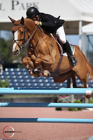 Todd Minikus and Zephyr won the $35,000 Illustrated Properties 1.45m at the Winter Equestrian Festival. Photo by Sportfot