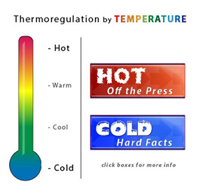 Thumbnail for New Online ThermoRegulator Tool