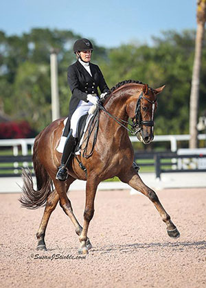 Veteran Canadian Dressage Team member Ashley Holzer, shown here on Sir Caramello, will now ride for the United States. Photo by Susan J Stickle