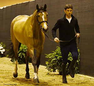 Thumbnail for Jumping Horse Inspection Held at FEI World Cup™ Finals
