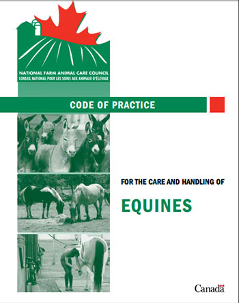 Thumbnail for Are You Following the Equine Code of Practice?