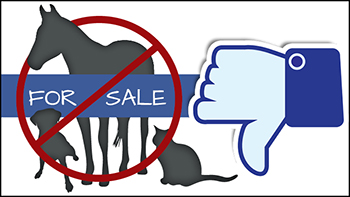 Thumbnail for Facebook Cracks Down on Animal Sale Posts