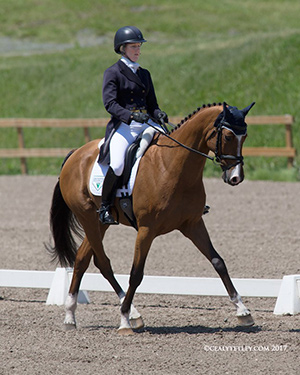 Allison Springer (USA) and Lord Willing on Thursday in the CCI2* dressage at the 2017 PEDIGREE Bromont CCI3* Three Day Event, The Todd Sandler Challenge at the Bromont Olympic Equestrian Park in Bromont, Quebec. Photo: CealyTetley.com