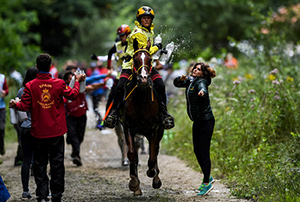 Germany's Sabrina Arnold and Tarzibus on their way individual gold at the FEI European Endurance Championships in the UNESCO World Heritage site, Sonian Forest in the heart of the Belgian capital Brussels. Photo by FEI/Martin Dokoupil
