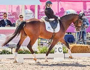 Thumbnail for Para Dressage Brits and Danes Share Honours at FEI European Championships