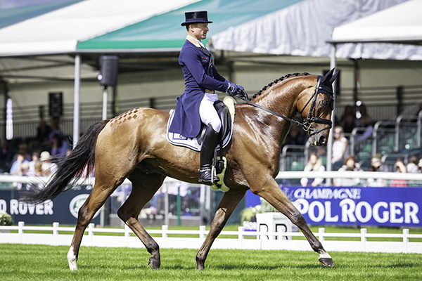 Double olympic champion and FEI Classics™ series leader Michael Jung (GER) leads after the first day of dressage with La Biosthetique Sam FBW at the Land Rover Burghley Horse Trials, sixth and final leg of the FEI Classics™ series. Photo by FEI/Libby Law