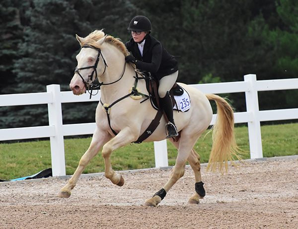 Nicole Donovan and Fiontar Mac Tire, competing at the Caledon Equestrian Park.