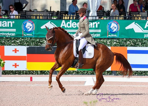 Heather Blitz's Praestemarkens Quatero impresses to finish the week with his third win, in the Intermediate I Freestyle with 73.6%. Photo ©SusanJStickle
