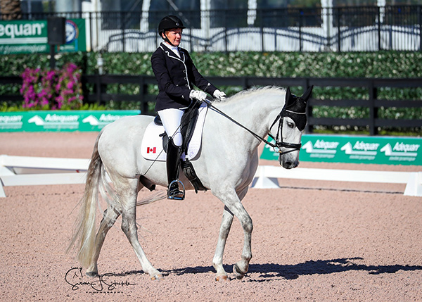 Riding Ultimo, Winona Hartvikson of Langley, BC kicked off 2018 with top-three placings across the board in the Grade I division at the Adequan Global Dressage Festival CPEDI 3*, held on Jan. 4-7 in Wellington, FL. Photo by Susan J. Stickle
