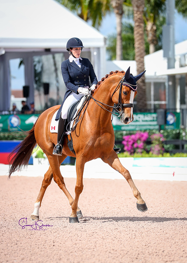 Brittany Fraser-Beaulieu of Saint-Bruno, QC earned impressive results in both the big tour with All In, and in the small tour with Soccer City (pictured) at the Adequan Global Dressage Festival 5, held Feb. 7-11, 2018 in Wellington, FL. Photo by Susan J. Stickle