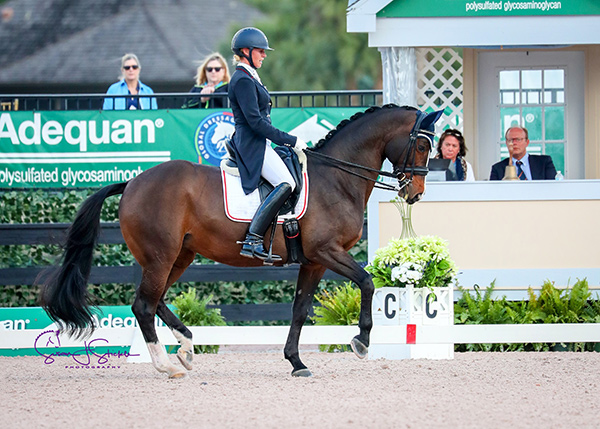 Megan Lane and her 2016 Rio Olympics partner, Caravella, demonstrated their world-class talent with top three finishes at the Adequan Global Dressage Festival 3, held Jan. 25-28, 2018 in Wellington, FL. Photo by Susan J. Stickle