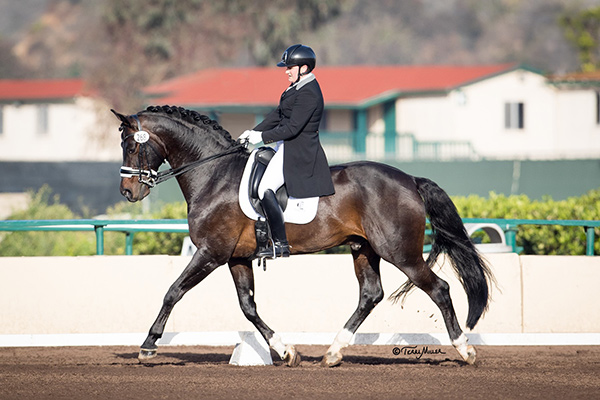Sara Pocock and her horse, Connaisseur placed in the top three in each of their CDI 1* small tour classes at the Adequan West Coast Dressage Festival IV, held Feb. 14-17, 2018 in Del Mar, CA. Photo by Terri Miller