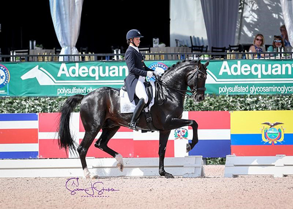 Thumbnail for Adrienne Lyle Wins Grand Prix Special CDI5* at AGDF