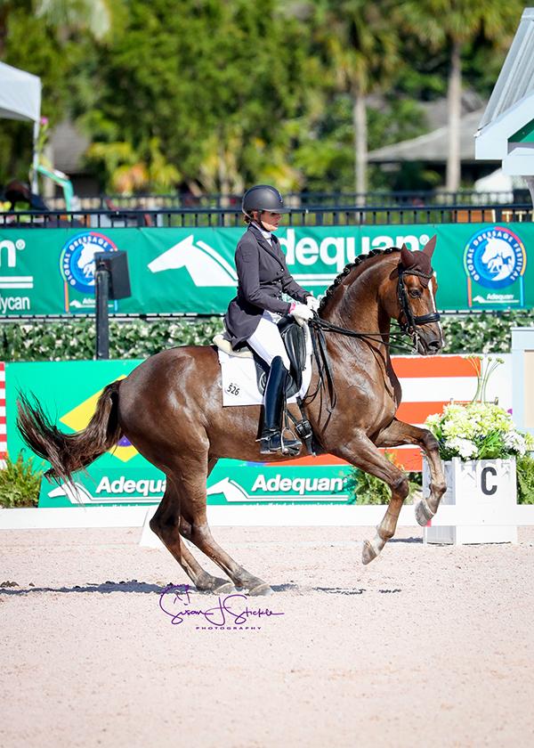 Ashley Holzer (USA) and Sir Caramello — who sold for €500,000 at auction as a four-year-old — capture their first ever international grand prix win.