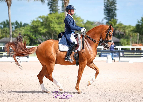 David Marcus and Dean Martin won the Grand Prix at the Adequan Global Dressage Festival Week 11. Photo © SusanJStickle.com.