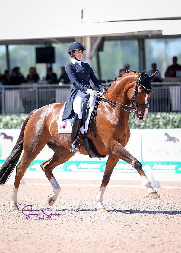 Thumbnail for Brittany Fraser Scores Personal Best to Win AGDF Grand Prix CDI4*