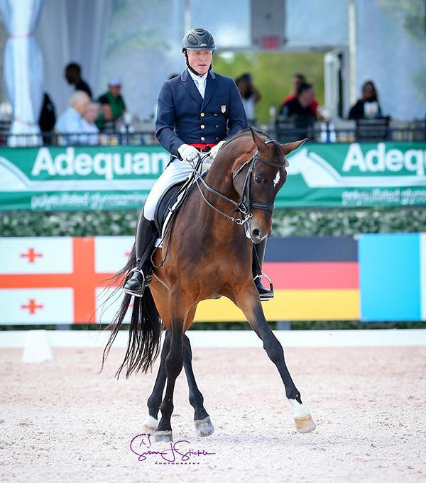 Jan Ebeling (USA) and Ann Romney's 10-year-old Sergio Leone were the only combination to top 70% in the Intermediate I Freestyle CDI3. Photo ©SusanJStickle