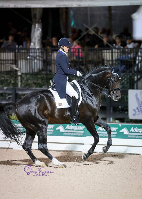 Thumbnail for Adrienne Lyle Scores Gold in AGDF FEI Grand Prix Freestyle CDIO3*
