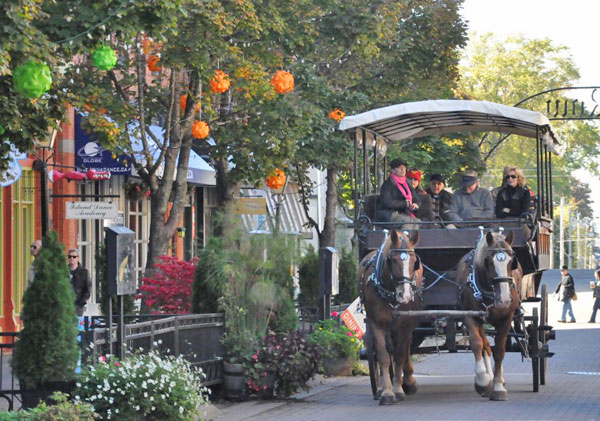 Thumbnail for Animals Rights Group Wants Horse-Drawn Carriage Ban in PEI