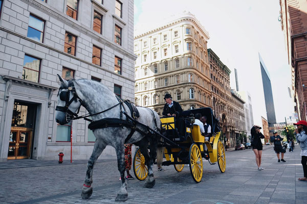 Horse-drawn carriages will no longer be allowed to operate in downtown Montreal ad of December 31, 2019.