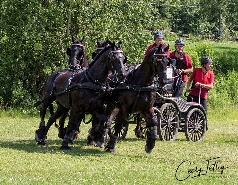 Gerben Steenbeek of St. Marys, ON, placed second in the CAI 2* Horse Four-in-Hand division of the Bromont International Combined Driving Event, held June 29-July 1, 2018, in Bromont, QC. Photo by Cealy Tetley