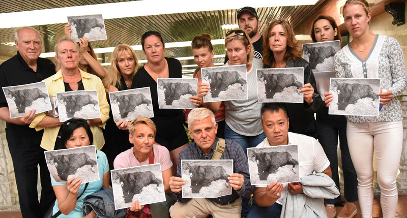 Armed with photos of one of the starving yearlings found on the Stouffville farm rented by the Small family, horse advocates waited to confront David Lee, Victoria and Jason Leroy at court on July 6, 2018. Photo by Susie Kockerscheidt/Metroland Media