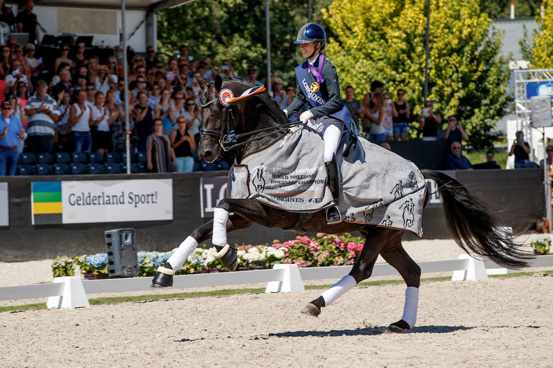The fabulous black stallion, Glamourdale, won the Seven-Year-Old Final for Great Britain’s Charlotte Fry at the Longines FEI/WBFSH World Breeding Dressage Championships 2018 in Ermelo (NED). Photo by FEI/Dirk Caremans