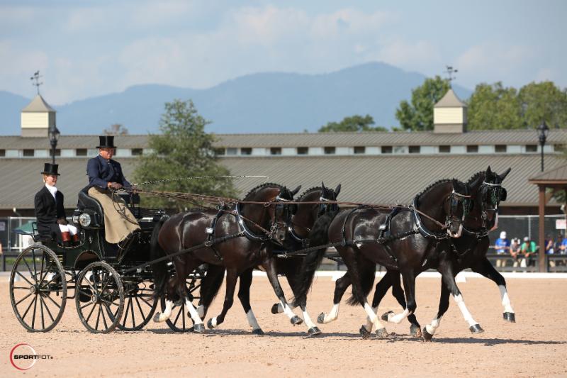 Boyd Exell and team during the Dressage phase of Polaris Driving competition.