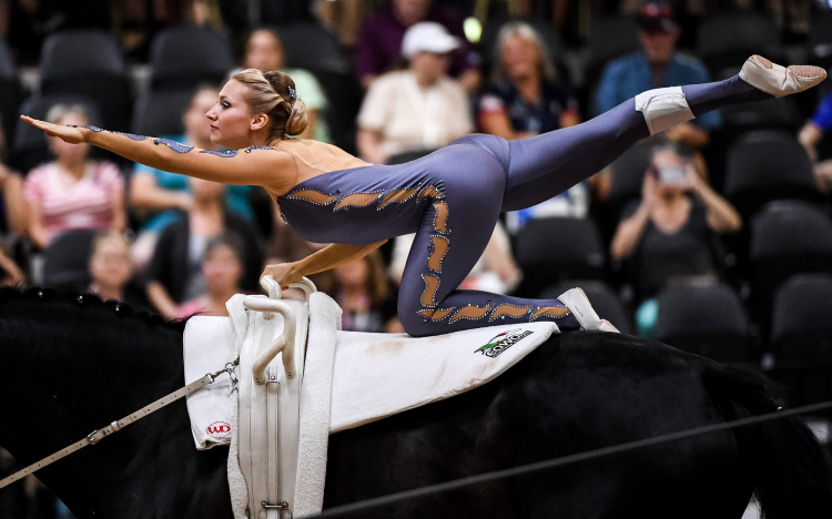 Thumbnail for Breathtaking Scores, Flawless Execution for Vaulters at WEG Tryon