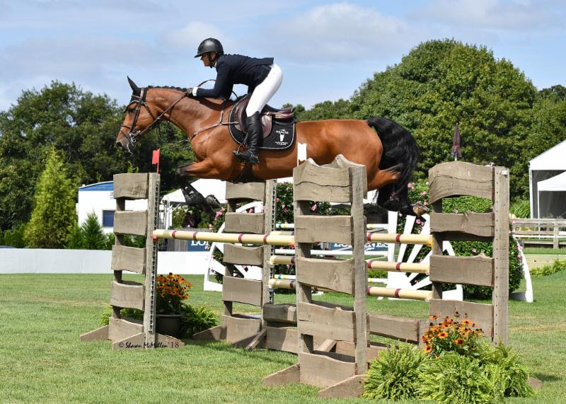 Canada's Erynn Ballard swept the 7-and-Under Young Horse Jumper Division at the Hampton Classic with Maestro Vica V/D Ark.