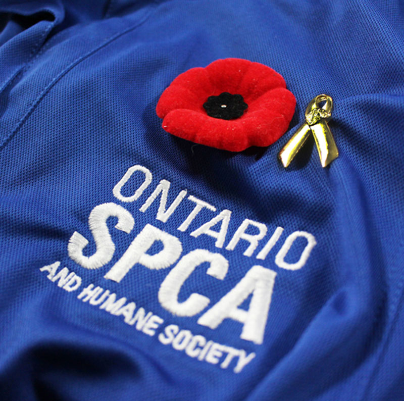 Thumbnail for OSPCA Unveils Animals of War Commemorative Pin
