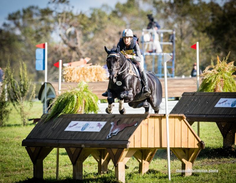 Thumbnail for Frankie Thieriot Stutes and Chatwin continue to lead Fair Hill CCI3*