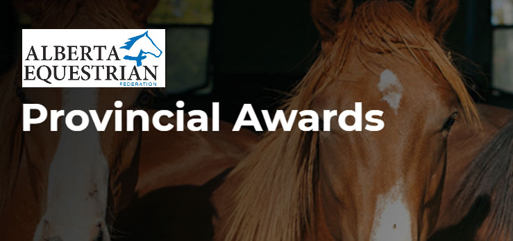 Nominate someone for an Alberta Equestrian Federation annual award.